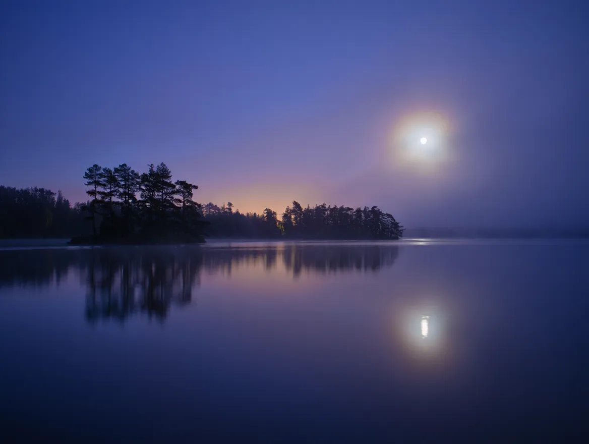 Peaceful evening scene with soft moonlight and calming natural elements